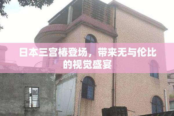 日本三宫椿登场，带来无与伦比的视觉盛宴
