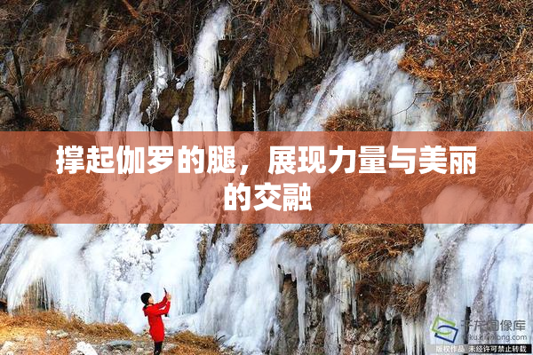 撑起伽罗的腿，展现力量与美丽的交融
