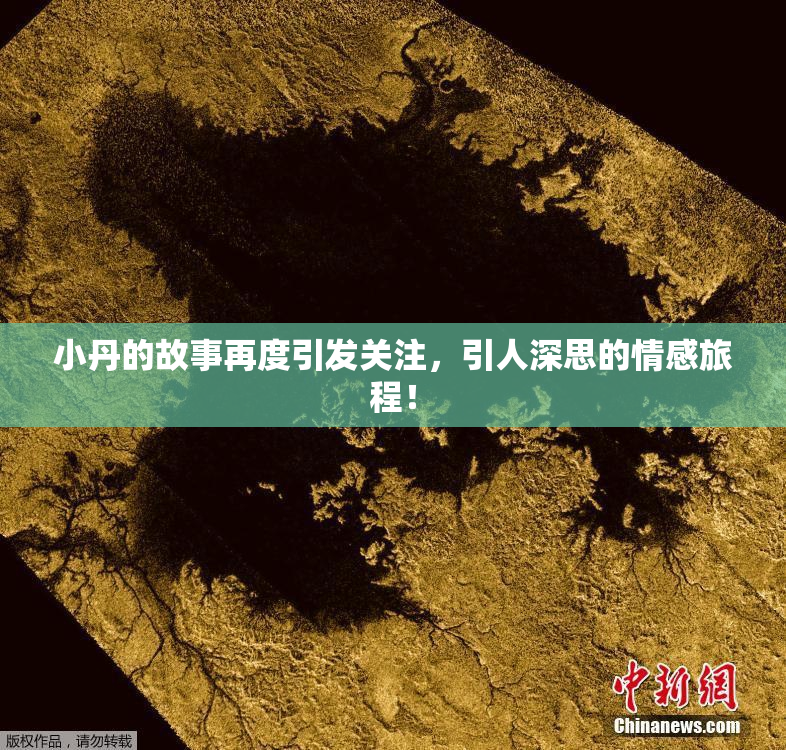 小丹的故事再度引发关注，引人深思的情感旅程！