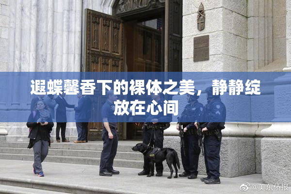 遐蝶馨香下的裸体之美，静静绽放在心间