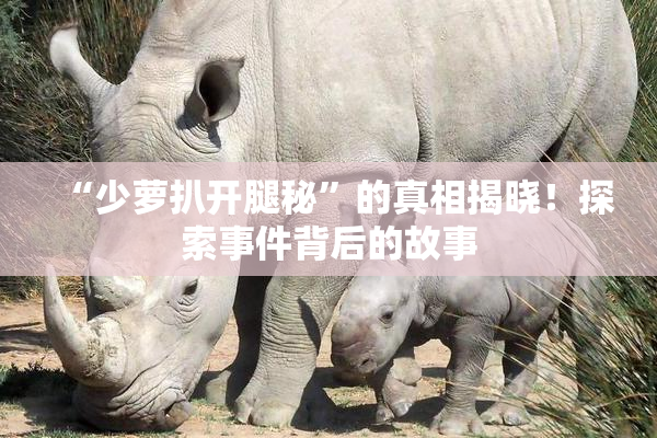 “少萝扒开腿秘”的真相揭晓！探索事件背后的故事