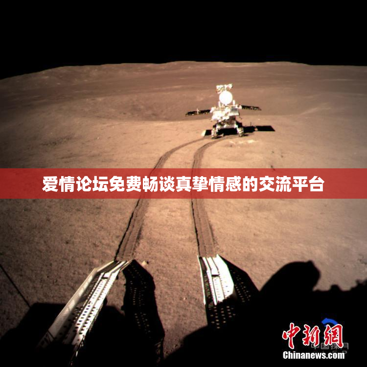 爱情论坛免费畅谈真挚情感的交流平台