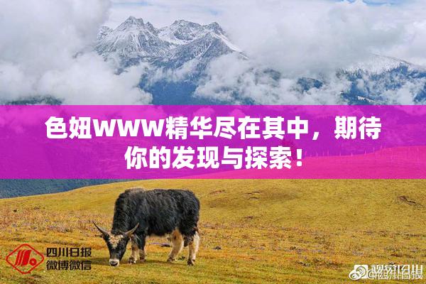 色妞WWW精华尽在其中，期待你的发现与探索！