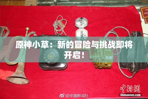 原神小草：新的冒险与挑战即将开启！