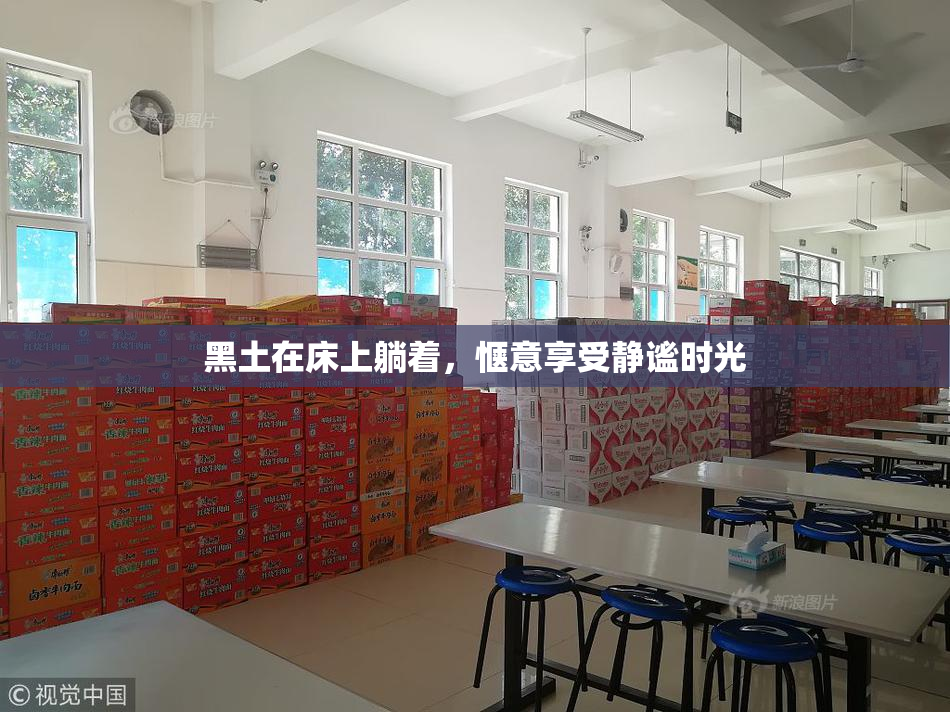 黑土在床上躺着，惬意享受静谧时光