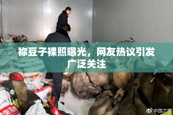 祢豆子裸照曝光，网友热议引发广泛关注