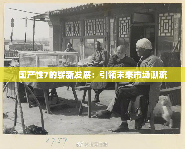国产性7的崭新发展：引领未来市场潮流