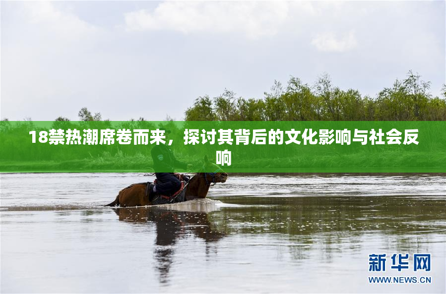 18禁热潮席卷而来，探讨其背后的文化影响与社会反响
