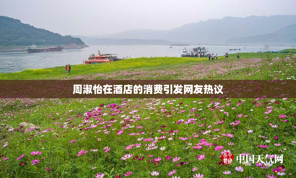 周淑怡在酒店的消费引发网友热议