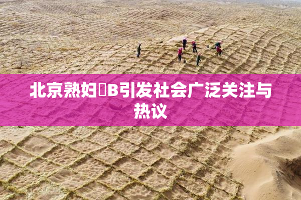 北京熟妇槡B引发社会广泛关注与热议