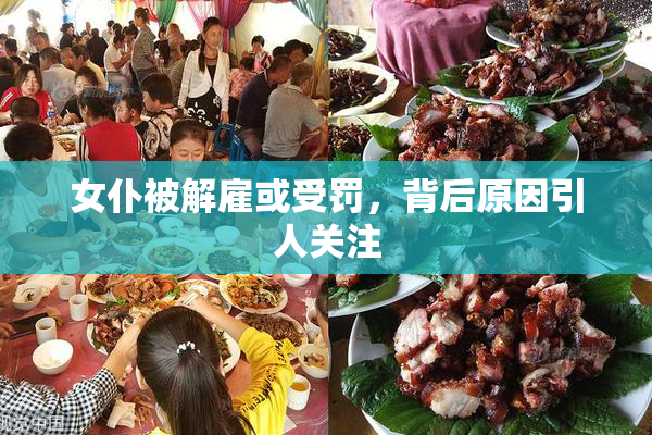 女仆被解雇或受罚，背后原因引人关注