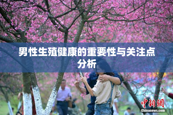 男性生殖健康的重要性与关注点分析