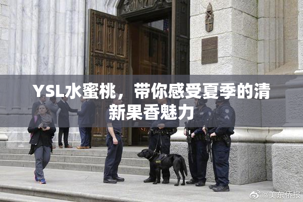 YSL水蜜桃，带你感受夏季的清新果香魅力
