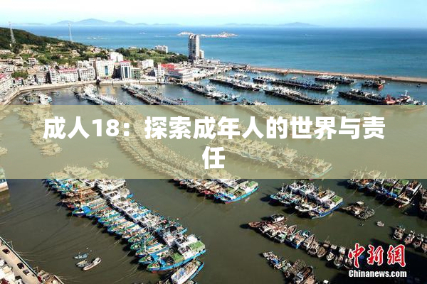 成人18：探索成年人的世界与责任