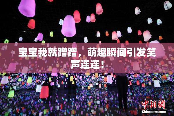 宝宝我就蹭蹭，萌趣瞬间引发笑声连连！
