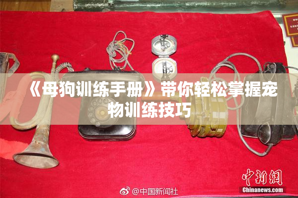 《母狗训练手册》带你轻松掌握宠物训练技巧