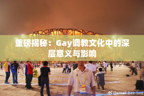 重磅揭秘：Gay调教文化中的深层意义与影响