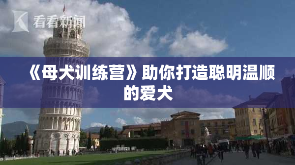《母犬训练营》助你打造聪明温顺的爱犬
