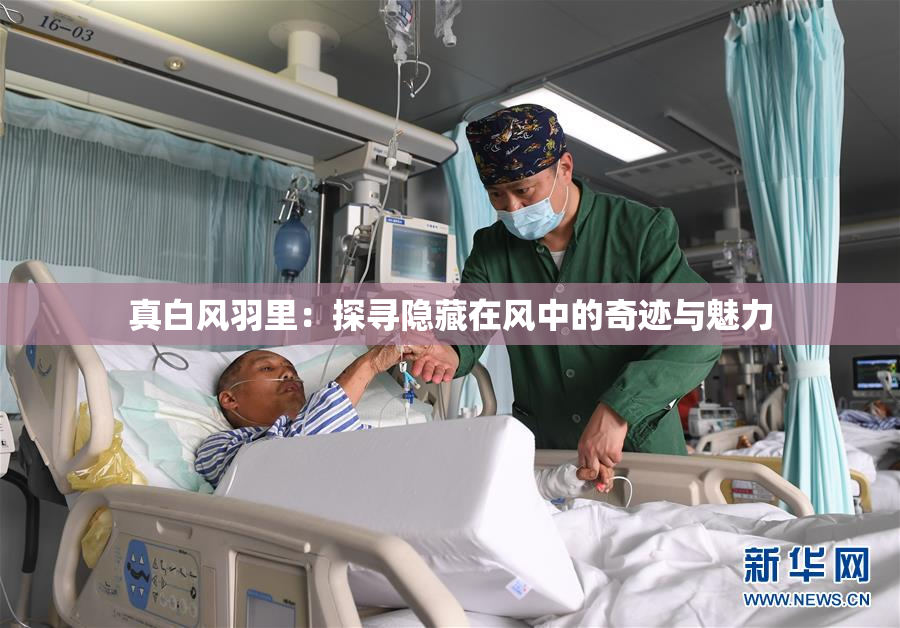 真白风羽里：探寻隐藏在风中的奇迹与魅力