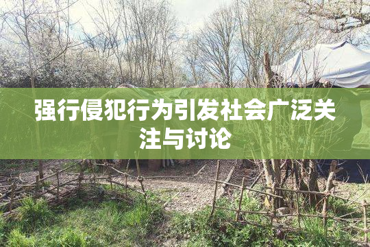 强行侵犯行为引发社会广泛关注与讨论