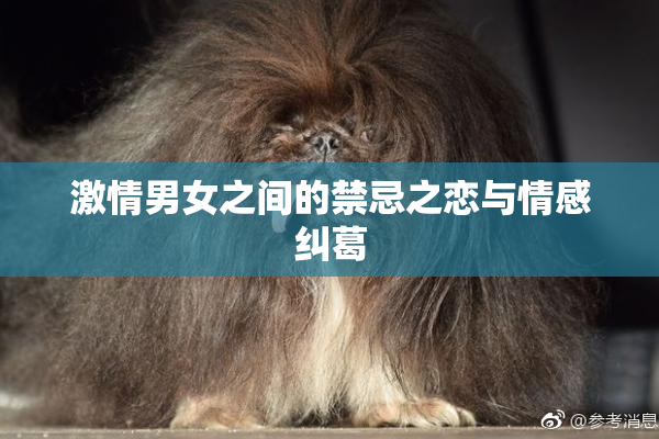 激情男女之间的禁忌之恋与情感纠葛