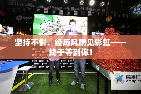 坚持不懈，经历风雨见彩虹——终于等到你！