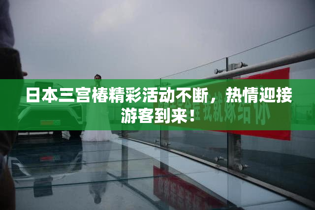 日本三宫椿精彩活动不断，热情迎接游客到来！