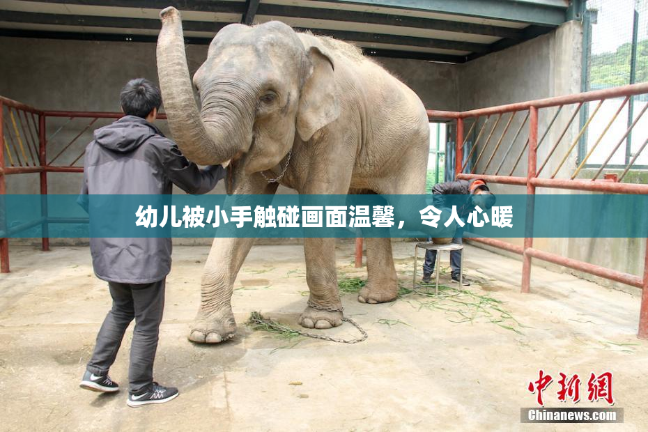 幼儿被小手触碰画面温馨，令人心暖