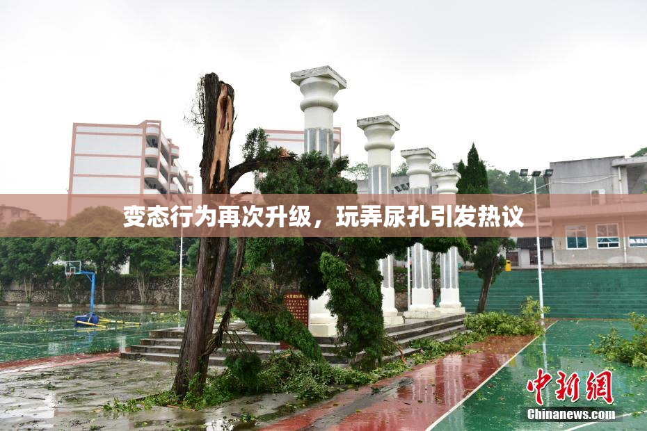 变态行为再次升级，玩弄尿孔引发热议