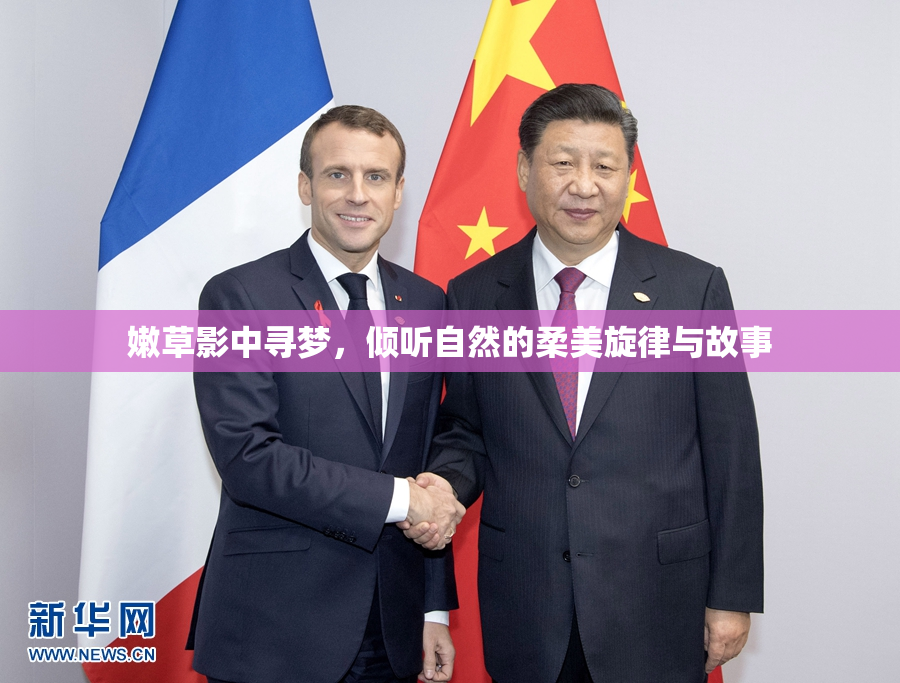 嫩草影中寻梦，倾听自然的柔美旋律与故事