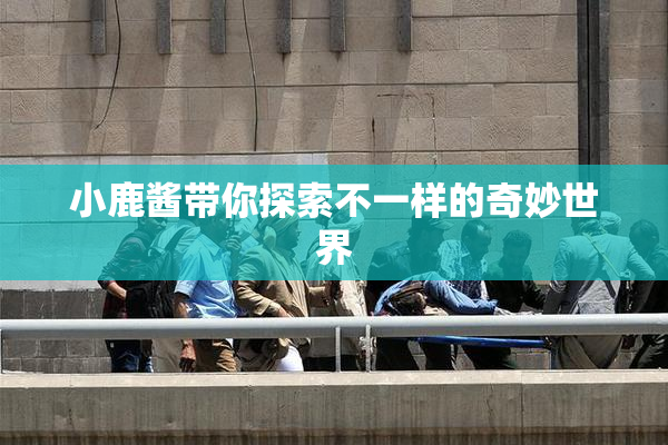 小鹿酱带你探索不一样的奇妙世界