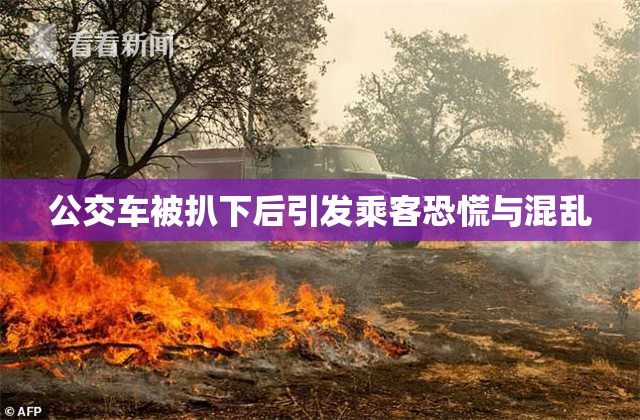 公交车被扒下后引发乘客恐慌与混乱