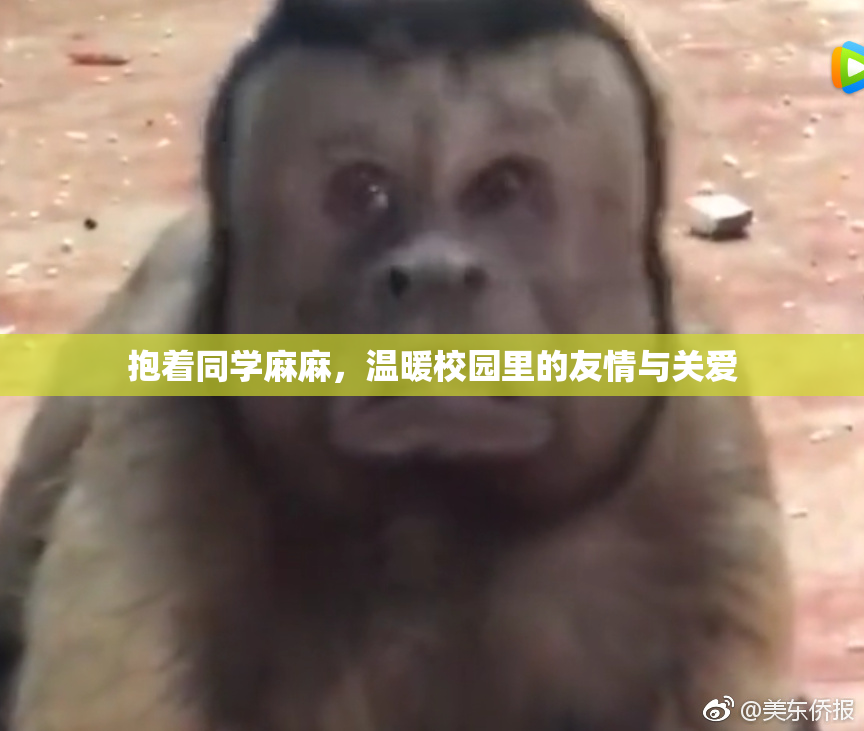 抱着同学麻麻，温暖校园里的友情与关爱