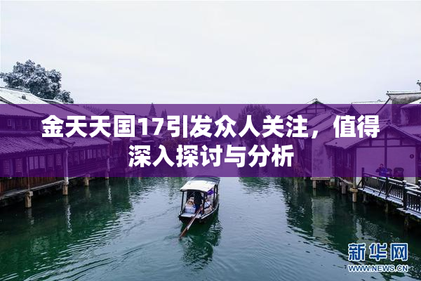 金天天国17引发众人关注，值得深入探讨与分析