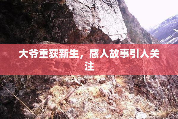 大爷重获新生，感人故事引人关注