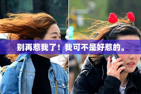 别再惹我了！我可不是好惹的。