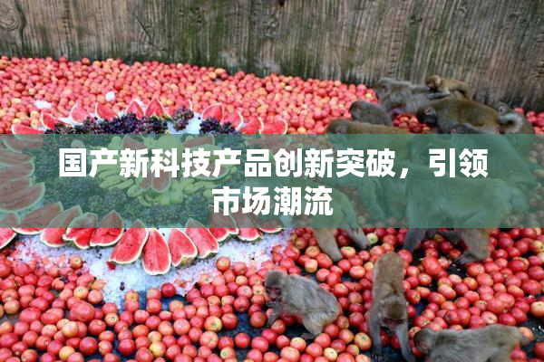 国产新科技产品创新突破，引领市场潮流