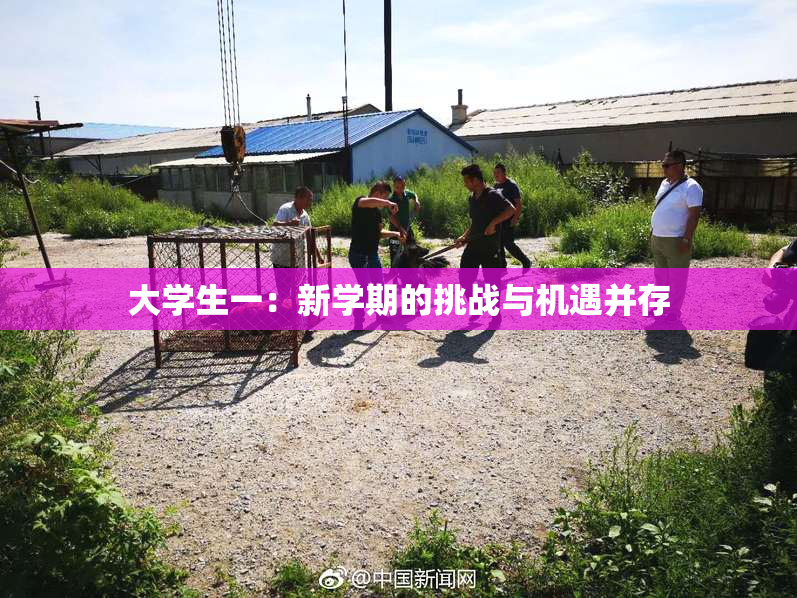 大学生一：新学期的挑战与机遇并存