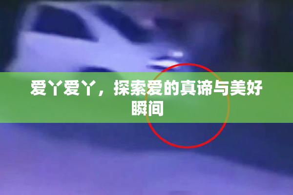 爱丫爱丫，探索爱的真谛与美好瞬间