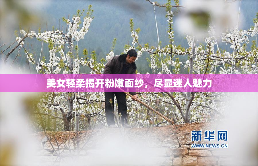 美女轻柔揭开粉嫩面纱，尽显迷人魅力