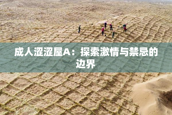 成人涩涩屋A：探索激情与禁忌的边界