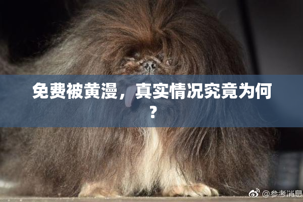 免费被黄漫，真实情况究竟为何？