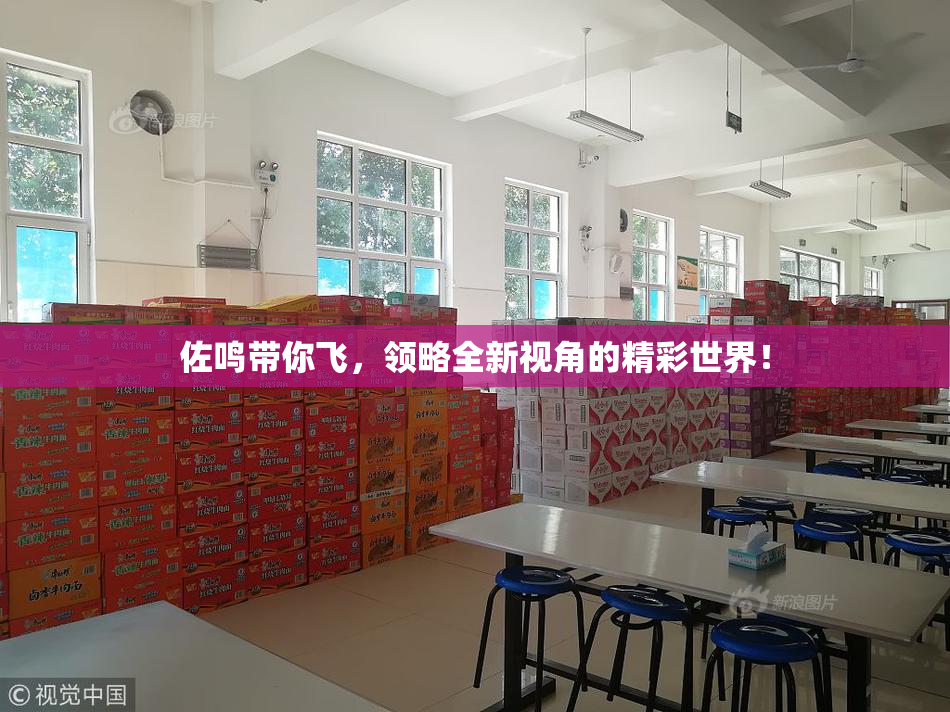 佐鸣带你飞，领略全新视角的精彩世界！