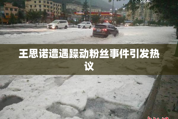 王思诺遭遇躁动粉丝事件引发热议