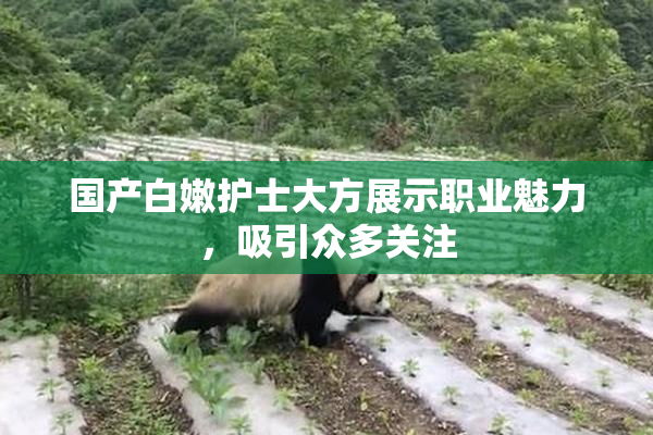 国产白嫩护士大方展示职业魅力，吸引众多关注