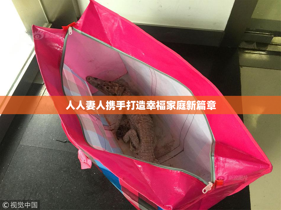 人人妻人携手打造幸福家庭新篇章