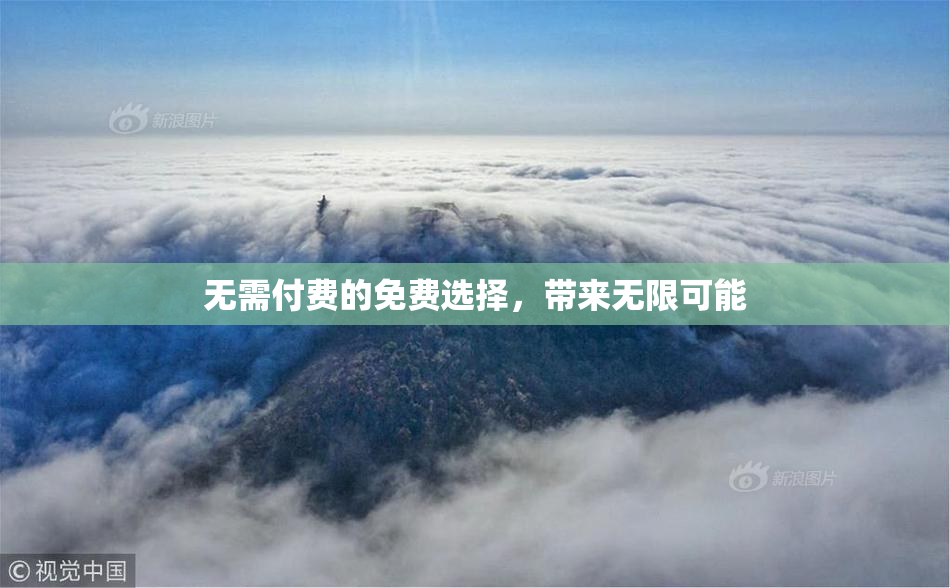 无需付费的免费选择，带来无限可能