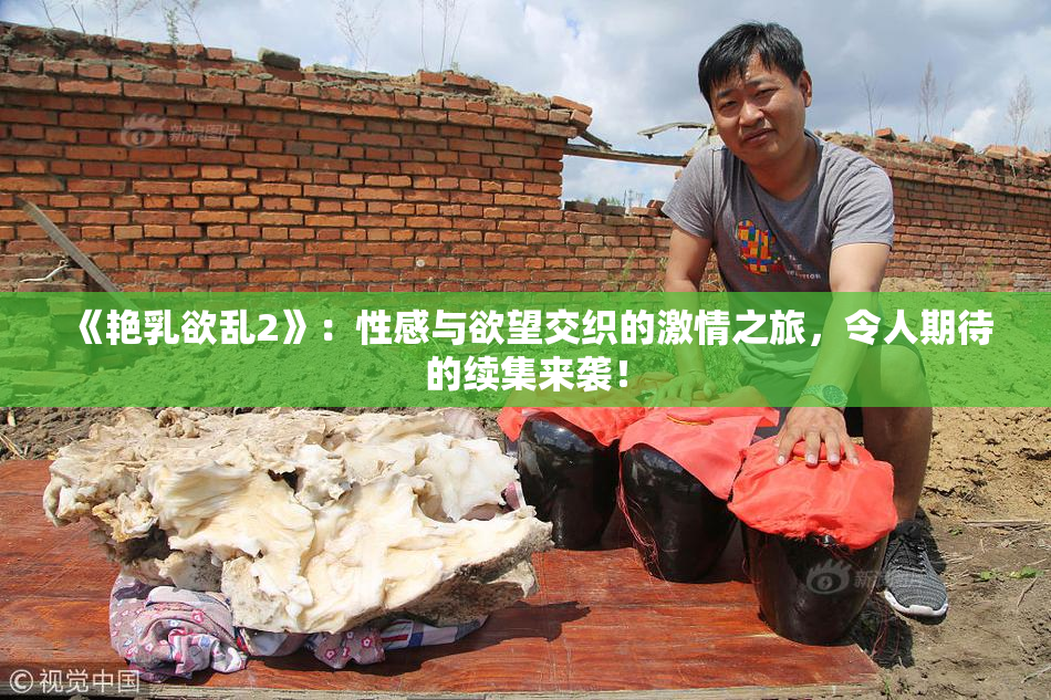 《艳乳欲乱2》：性感与欲望交织的激情之旅，令人期待的续集来袭！