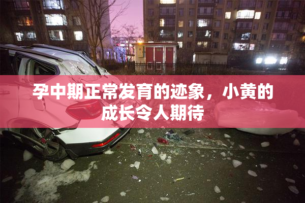 孕中期正常发育的迹象，小黄的成长令人期待