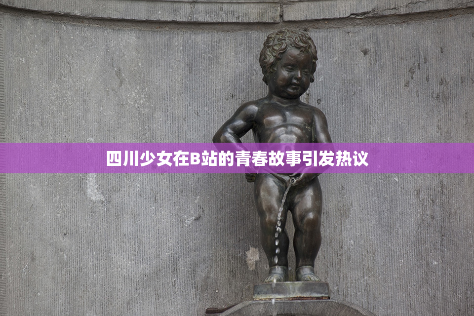 四川少女在B站的青春故事引发热议